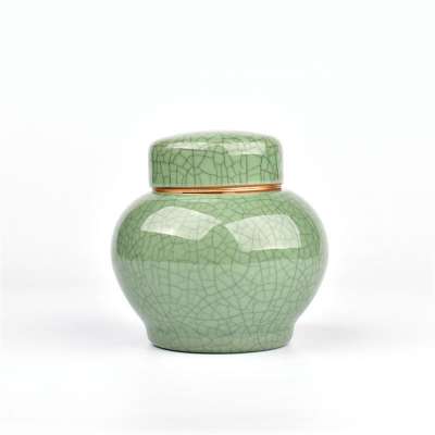 Cremation Urn Ceramic for Pet and Human Ashes