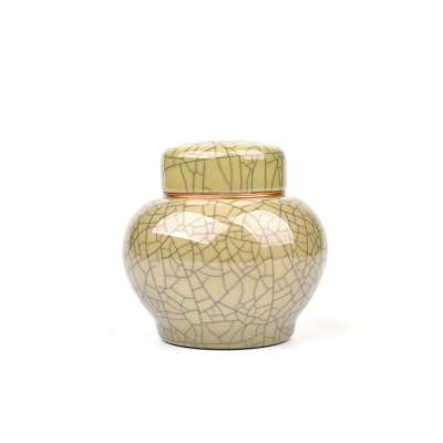 Ceramics Standard Cremation Urn for Ashes