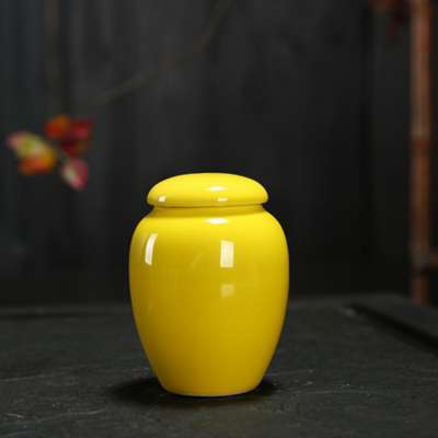 Ceramic Classic Keepsake Urns