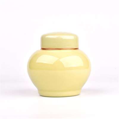 Ceramics Mini Funeral Urns for Human Ashes Adult -Fits a Small Amount of Cremated Remains